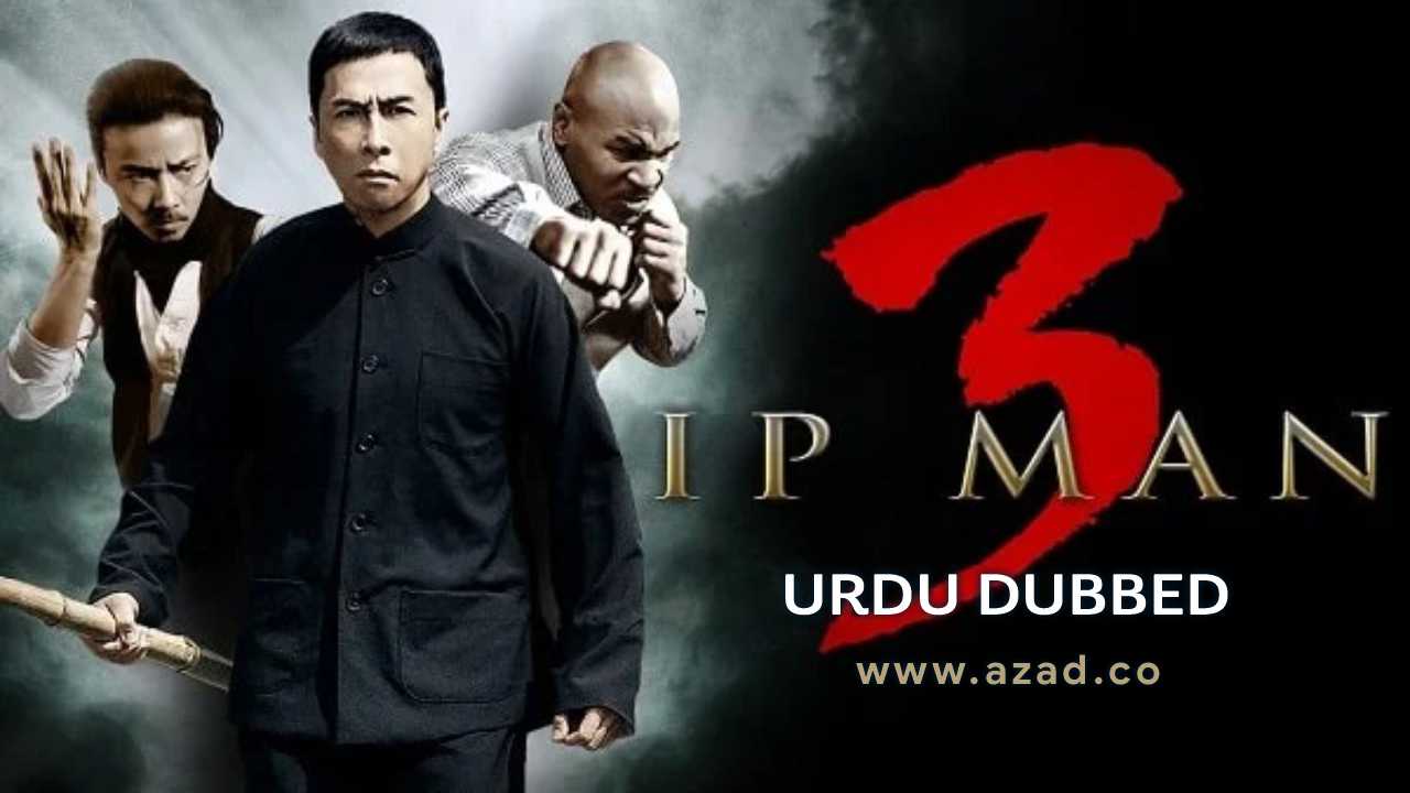 IP Man 3 2015 Urdu Dubbed Chinese Movie